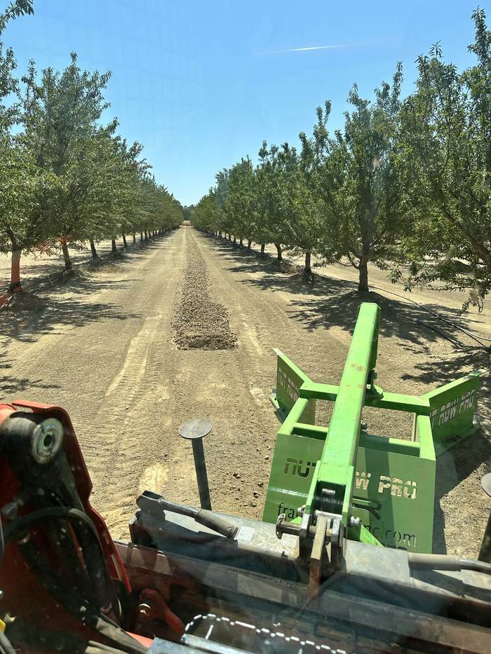 View from the operator's seat down an orchard row, an implement ahead pushing the row back to open a path for the harvester.